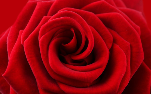 897217 (a): :2880x1800
